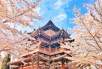 青龙寺第 67 张图片