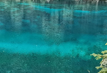 若尔盖花湖生态旅游区第 69 张图片