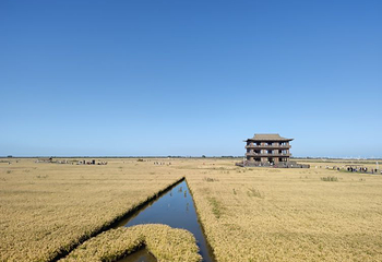 红海滩国家风景廊道第 90 张图片