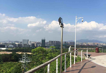 南山生态园第 17 张图片