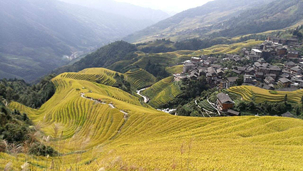 九龙五虎观景点第 3 张图片