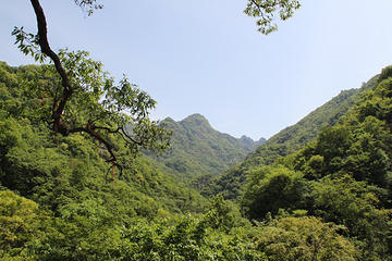 武当山南神道旅游区第 8 张图片