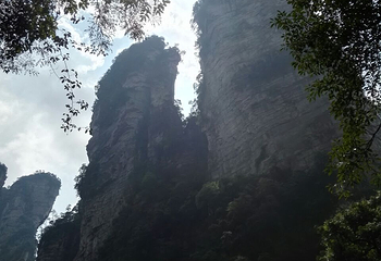 树栖星之营地第 8 张图片