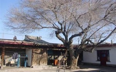 巴里坤县古民宅第 8 张图片