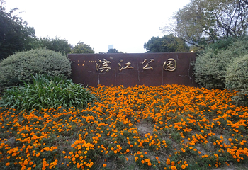 滨江公园第 24 张图片
