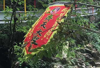 猴王谷景区第 18 张图片