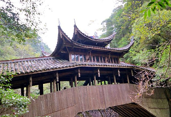 乌岩岭国家级自然保护区第 11 张图片