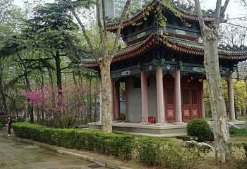 大兴善寺第 91 张图片