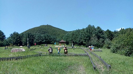 岗山花海第 27 张图片