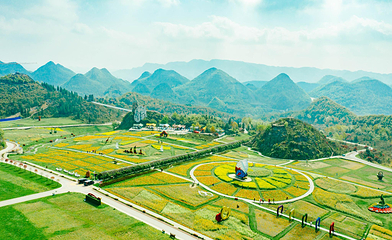 百里杜鹃风景区第 107 张图片