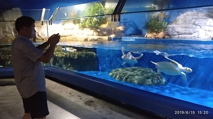 欢乐海岸海洋奇梦馆第 28 张图片