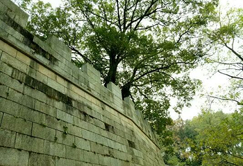 翠岩禅寺第 6 张图片