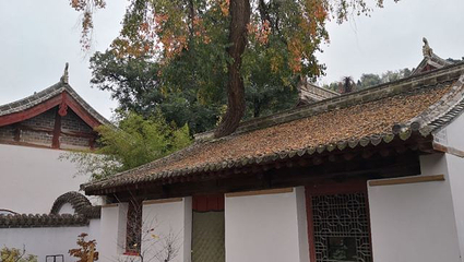 南郭寺第 14 张图片