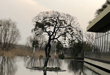 景华文化生态园第 16 张图片