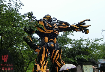 武隆喀斯特旅游区第 59 张图片