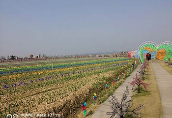新枫林花海无忧牧场第 26 张图片