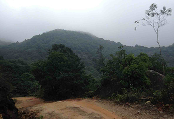 象头山国家级自然保护区第 11 张图片