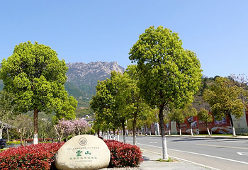 灵山风景区第 91 张图片