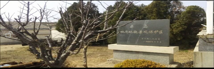 桑岛第 3 张图片