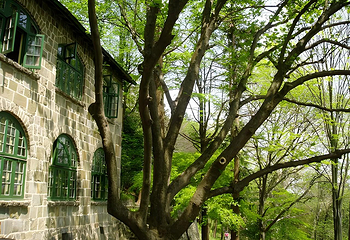 莫干山风景名胜区第 26 张图片