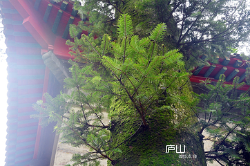 庐山抗战博物馆第 8 张图片