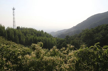 孟良崮旅游区第 48 张图片