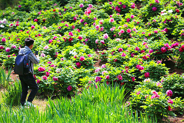 秦岭国家植物园第 36 张图片