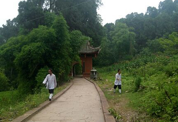 郪江古镇第 30 张图片
