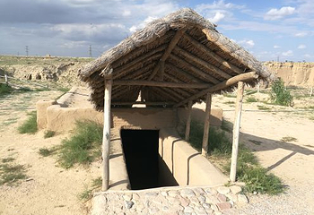 银川森淼生态旅游区第 21 张图片