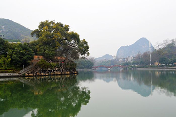 桂湖第 24 张图片