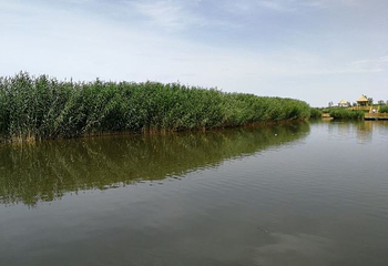 博斯腾湖大河口景区第 51 张图片