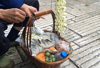 昆明景星花鸟市场第 12 张图片