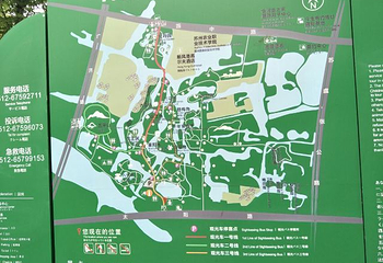 苏州中国花卉植物园第 58 张图片