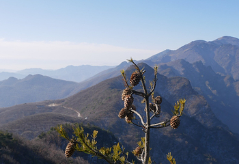终南山第 43 张图片