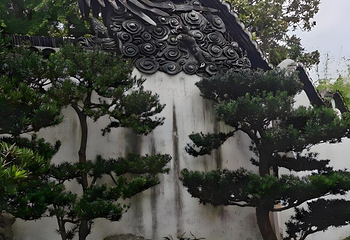 豫园第 75 张图片