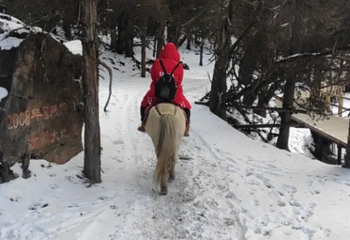 猫鼻梁第 22 张图片