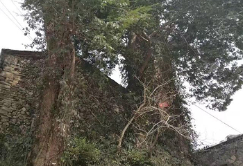 大龙门景区第 15 张图片