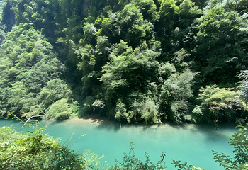 鹤峰屏山旅游景区第 38 张图片