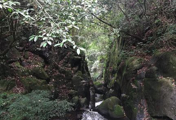 广东天马山旅游景区第 24 张图片