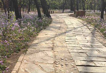 自然公园第 21 张图片