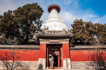白塔寺第 19 张图片