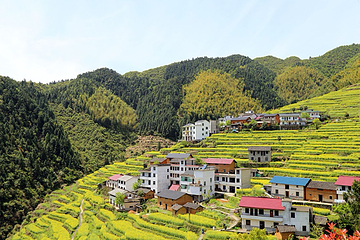 古田山自然保护区第 18 张图片