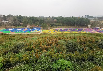 都江堰·玫瑰花溪谷第 11 张图片