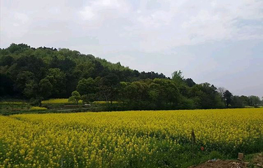 高淳国际慢城第 26 张图片