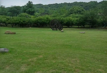 苏州上方山国家森林公园第 64 张图片