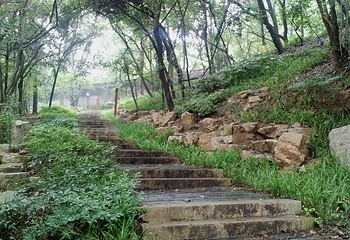 洪山公园第 10 张图片