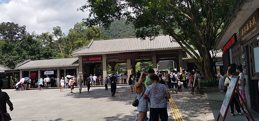 鼎湖山第 71 张图片