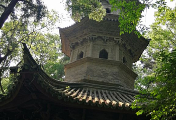 九峰公园第 22 张图片