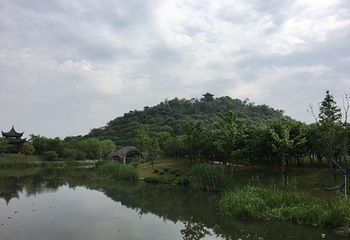 镜湖国家城市湿地公园第 30 张图片