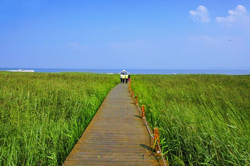 凉城岱海第 33 张图片